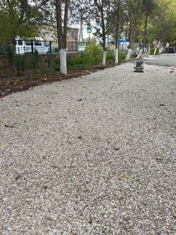 ��������� �������: ������������ ��������������� ���������� � ������� ���� ���������