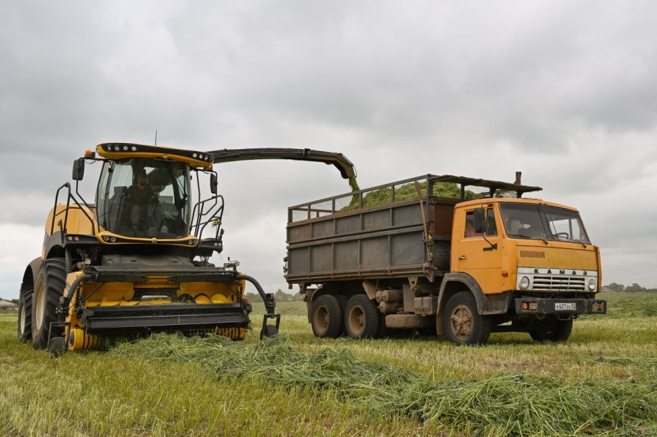  :          ,       ,     ,    