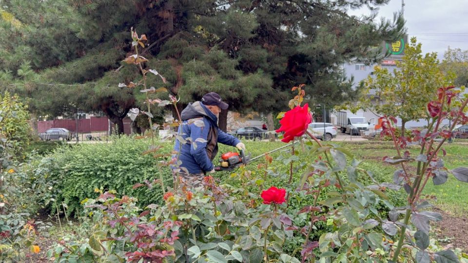 В сквере Воссоединения сотрудники Службы городского хозяйства проводят сезонные работы В сквере Воссоединения сотрудники Службы городского хозяйства проводят сезонные работы