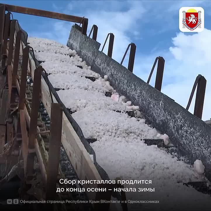 � ����� �������� ������ ������� ����