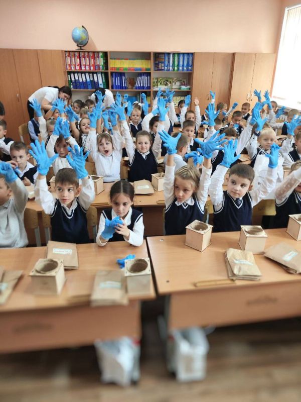Акция «Вырасти своё дерево» продолжается Акция «Вырасти своё дерево» продолжается