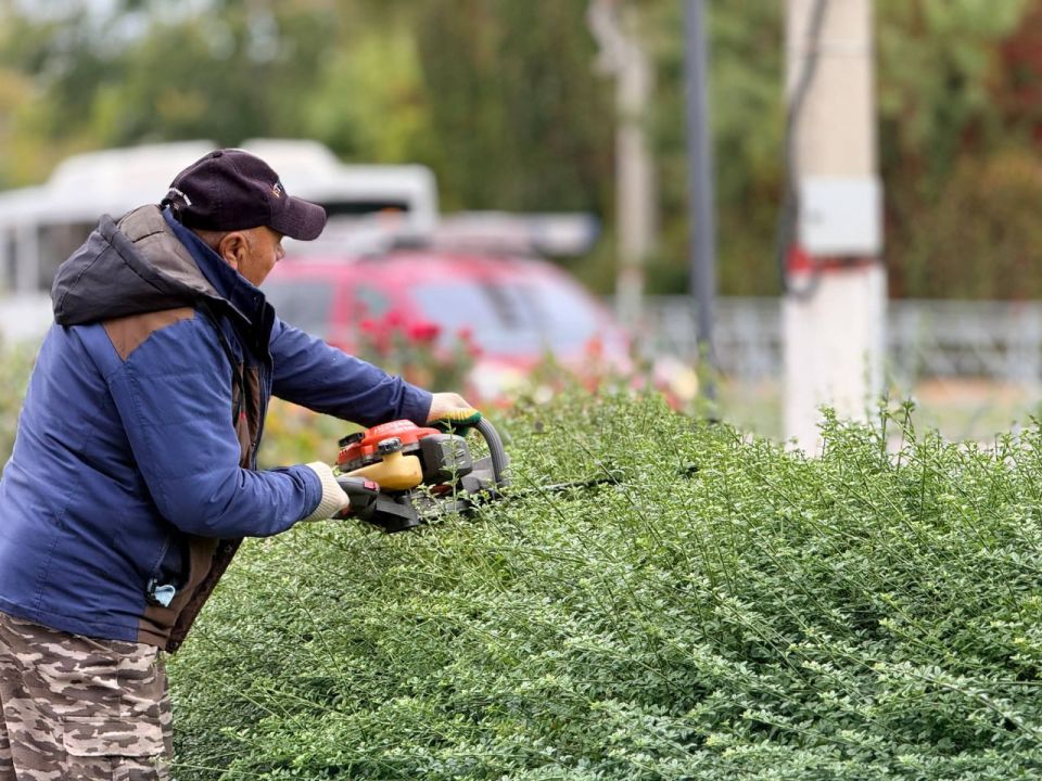 В сквере Воссоединения сотрудники Службы городского хозяйства проводят сезонные работы В сквере Воссоединения сотрудники Службы городского хозяйства проводят сезонные работы