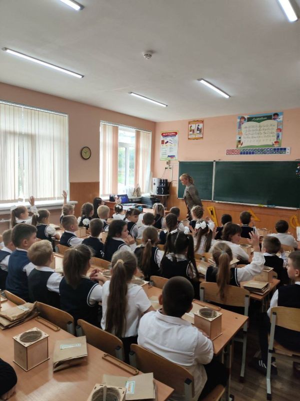 Акция «Вырасти своё дерево» продолжается Акция «Вырасти своё дерево» продолжается