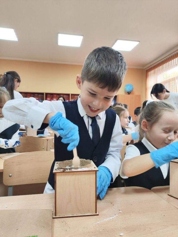 Акция «Вырасти своё дерево» продолжается Акция «Вырасти своё дерево» продолжается