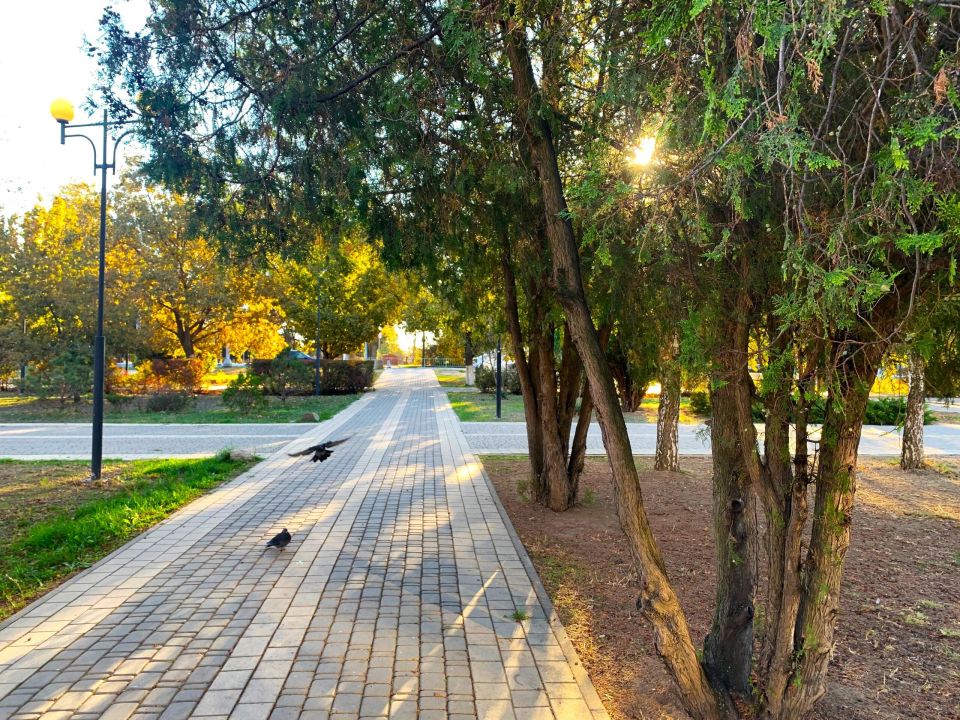 � ������ �����, �������!. ����� ��� ����� ���� ���������� ���� � ����������! ��������, ������� � ��������� ����������! ������� � �������� �����������, t + 11 - +14, ����� ���������, ������-��������