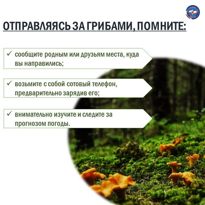 Безопасность превыше всего! Безопасность превыше всего!