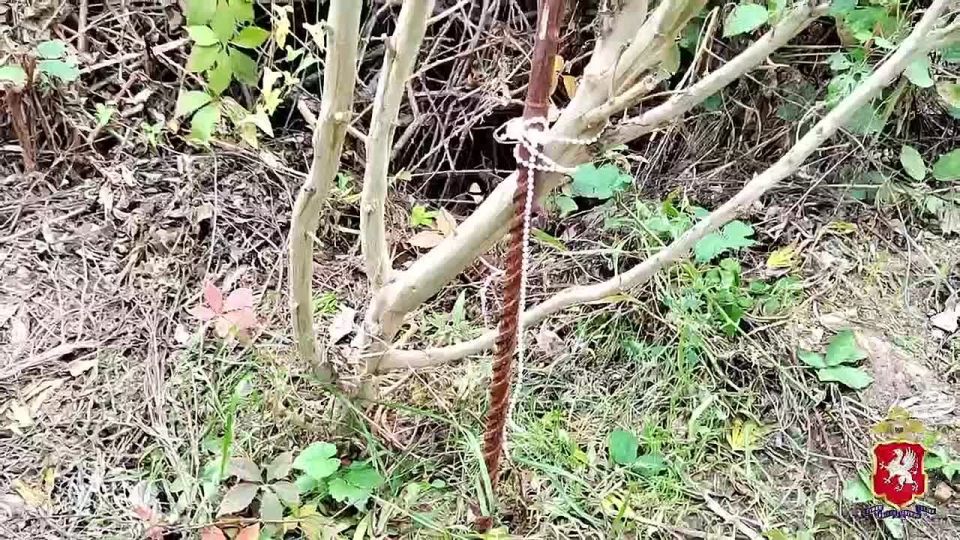 Полиция Севастополя задержала наркодельца, заготовившего 3 кг марихуаны для последующего сбыта