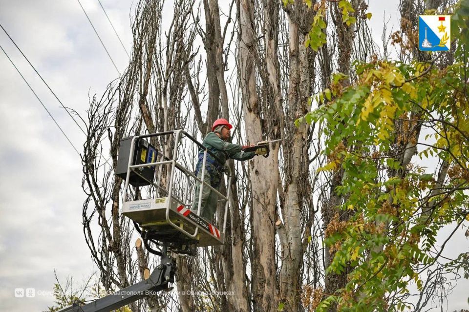 Готовимся к сезону непогоды Готовимся к сезону непогоды