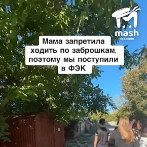         ,   -        