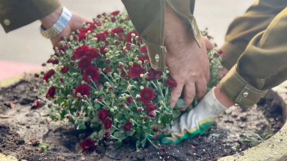 Специалисты зеленхоза обновляют цветы в вазонах Специалисты зеленхоза обновляют цветы в вазонах