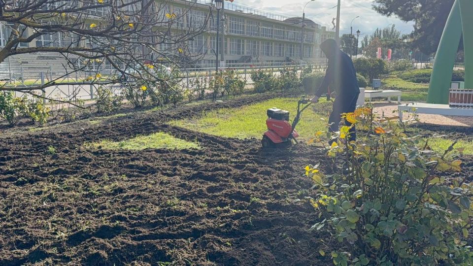 Специалисты зеленхоза обновляют цветы в вазонах Специалисты зеленхоза обновляют цветы в вазонах