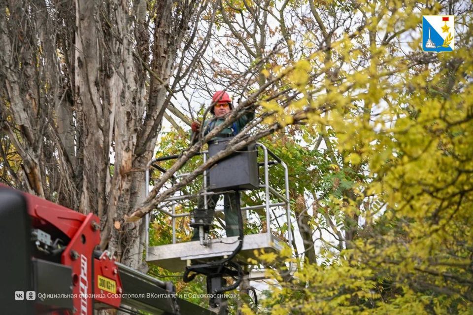 Готовимся к сезону непогоды Готовимся к сезону непогоды