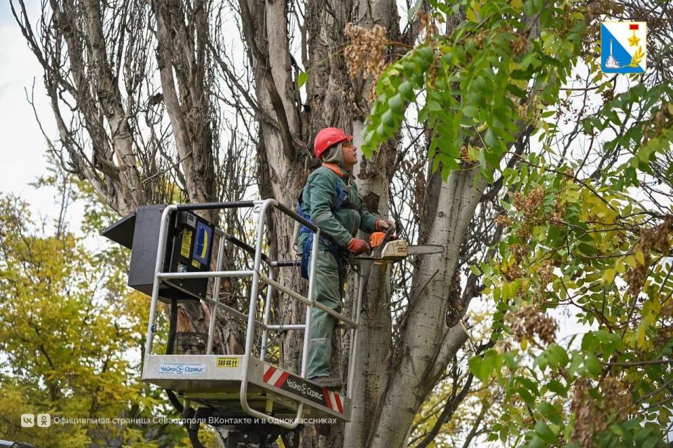 Готовимся к сезону непогоды