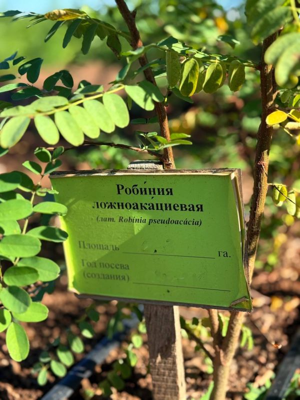 ��� �� ��������������� ������������� ��������� ��������� � ������ ��������������� ������ � ������ ������������ ������� ����������� �����