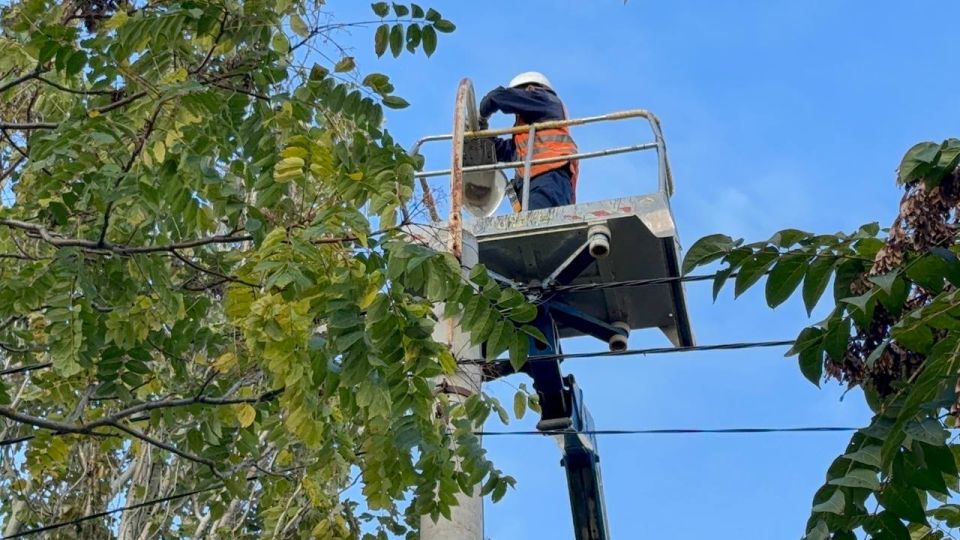 В Керчи провели ревизию уличного освещения вдоль центральных городских дорог – ул. Кирова и Еременко. Сотрудники ООО «Горсвет-Керчь» проверили исправность светильников, заменили перегоревшие лампочки В Керчи провели ревизию уличного освещения вдоль центральных городских дорог – ул. Кирова и Еременко. Сотрудники ООО «Горсвет-Керчь» проверили исправность светильников, заменили перегоревшие лампочки
