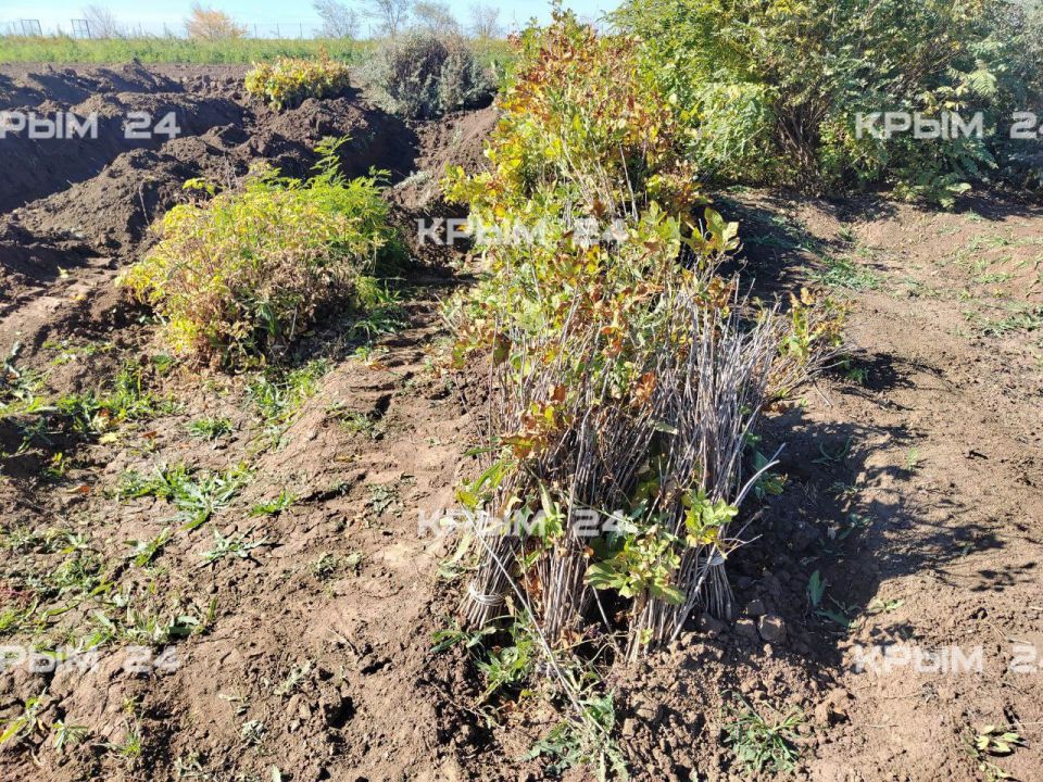 � ���������� ��������������� ������ ���������� � ������ ������������� ������� �������������� ������������