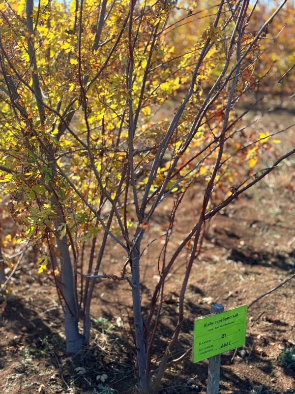 ��� �� ��������������� ������������� ��������� ��������� � ������ ��������������� ������ � ������ ������������ ������� ����������� �����