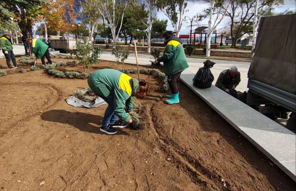 В Феодосии продолжается высадка декоративных многолетников