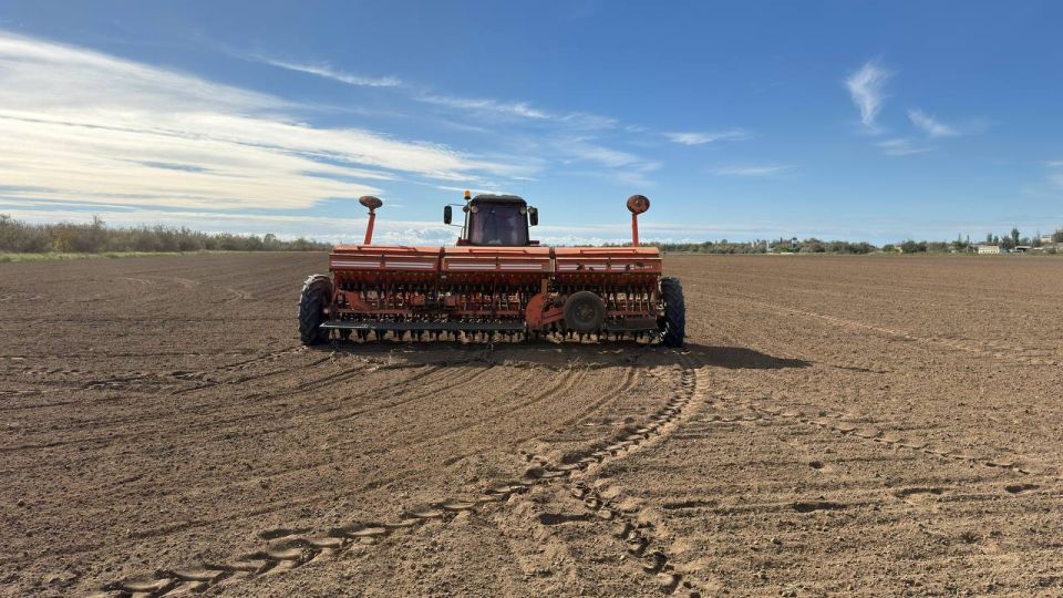 ����� ������: ���������� � ������������ ��� ���������� ������