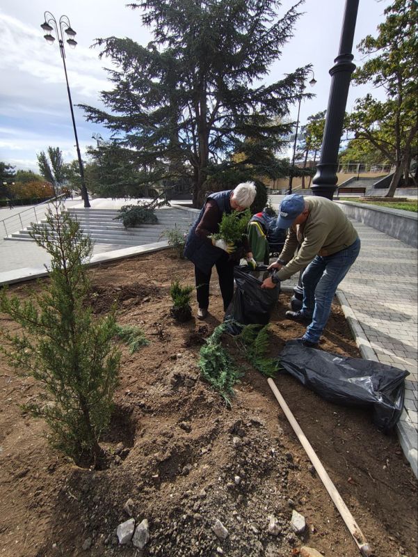 В Феодосии продолжается высадка декоративных многолетников В Феодосии продолжается высадка декоративных многолетников