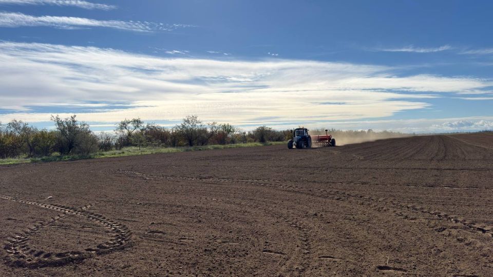 ����� ������: ���������� � ������������ ��� ���������� ������