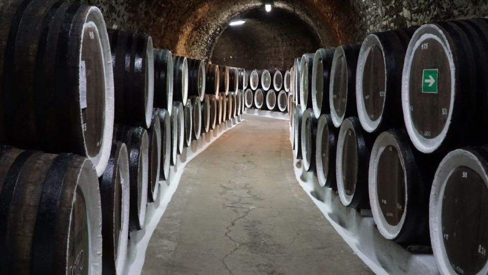 От Голицына до таинственных подземных тоннелей: Путешествие по легендарному винзаводу Крыма От Голицына до таинственных подземных тоннелей: Путешествие по легендарному винзаводу Крыма