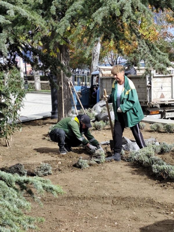 В Феодосии продолжается высадка декоративных многолетников В Феодосии продолжается высадка декоративных многолетников