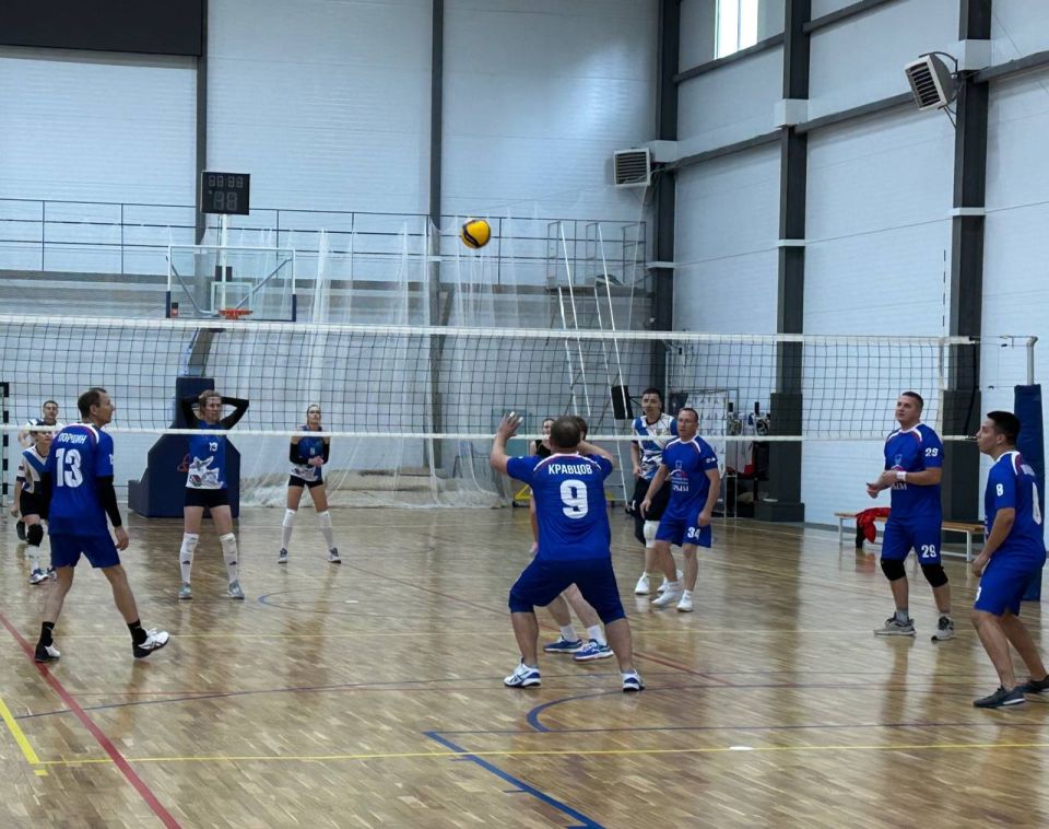 ����� ����������: �� ������ �����������, ����������� ��� ������ � ����� �������� ���������� � ������������: