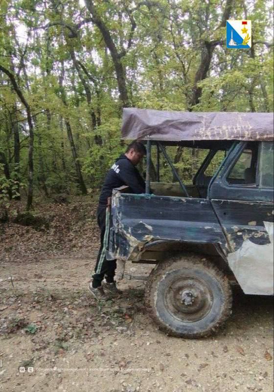 В Мекензиевском лесничестве разрешен сбор валежника В Мекензиевском лесничестве разрешен сбор валежника
