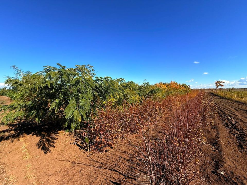 ��� �� ��������������� ������������� ��������� ��������� � ������ ��������������� ������ � ������ ������������ ������� ����������� �����