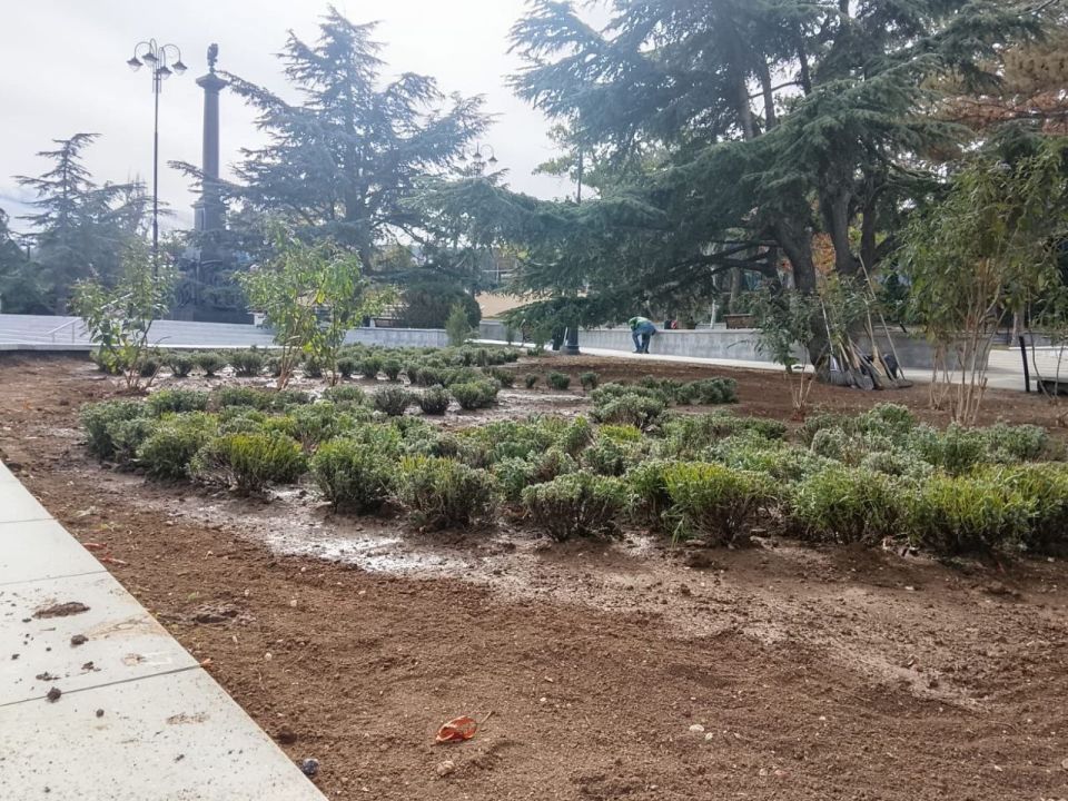 В Феодосии продолжается высадка декоративных многолетников В Феодосии продолжается высадка декоративных многолетников