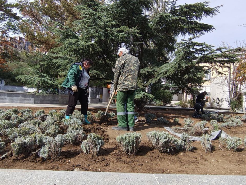 В Феодосии продолжается высадка декоративных многолетников В Феодосии продолжается высадка декоративных многолетников