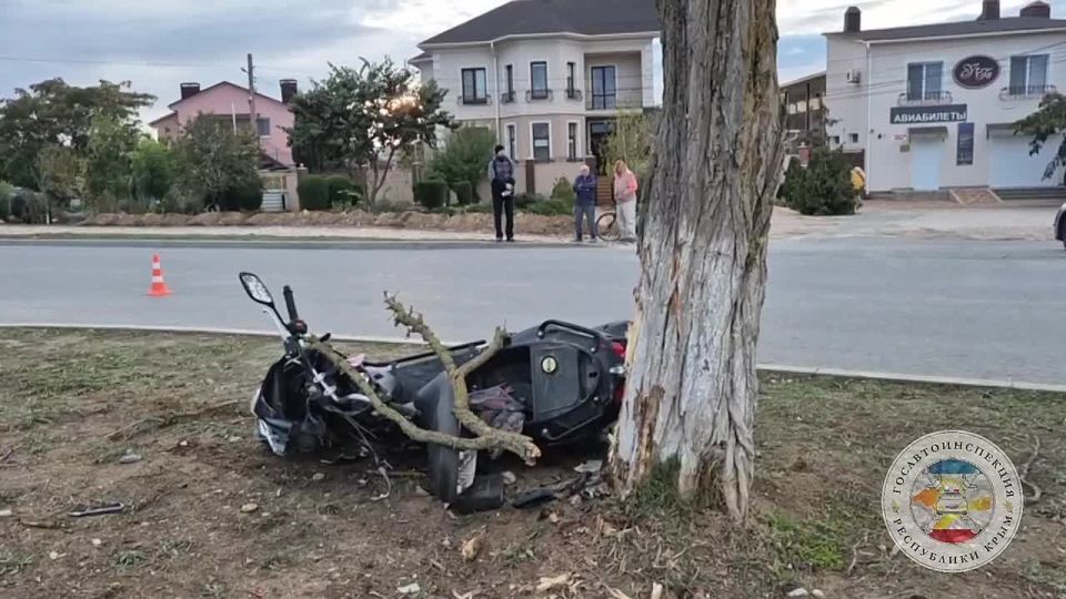Пенсионер на мопеде врезался в дерево и погиб в Заозерном