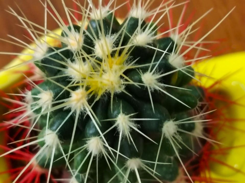 � ������ �����, �������!. ����� ������� ������ ��� ����� �������� ��������, �������� ���������� ����, � �����, � ����� �� ������ �������� ��� ������! ������� � �������� �����������, t + 6 - +13, ����� ���������, ��������