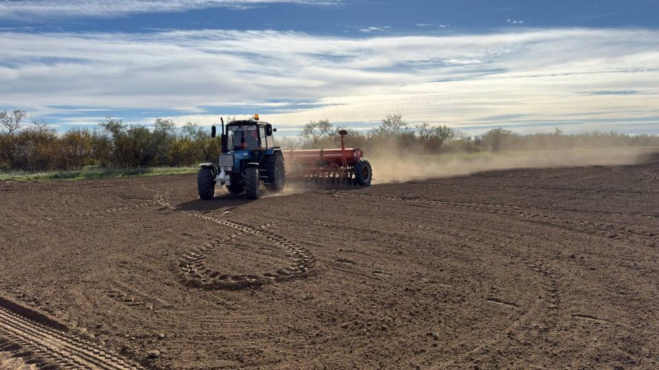 ����� ������: ���������� � ������������ ��� ���������� ������