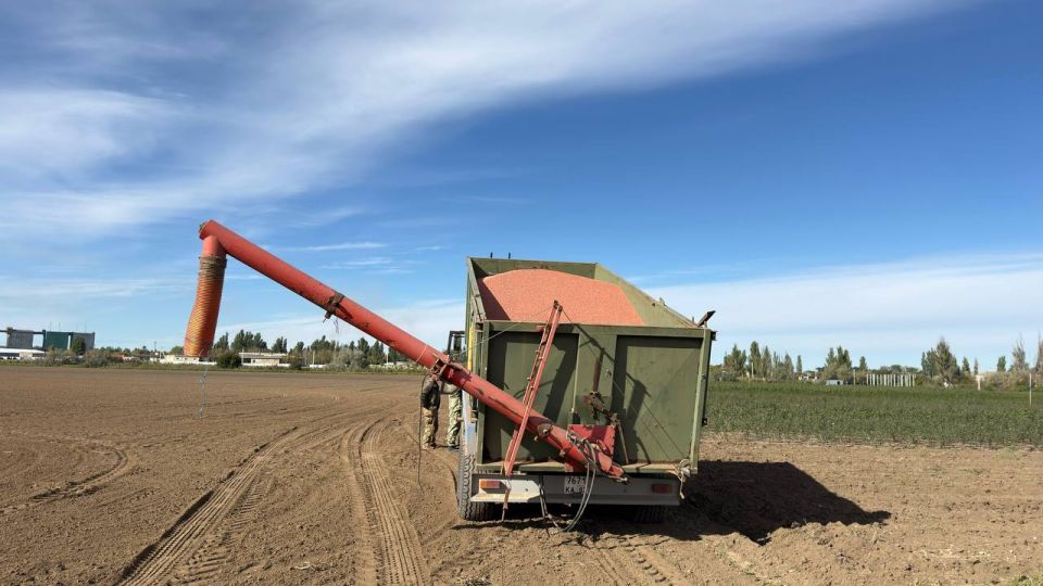 ����� ������: ���������� � ������������ ��� ���������� ������