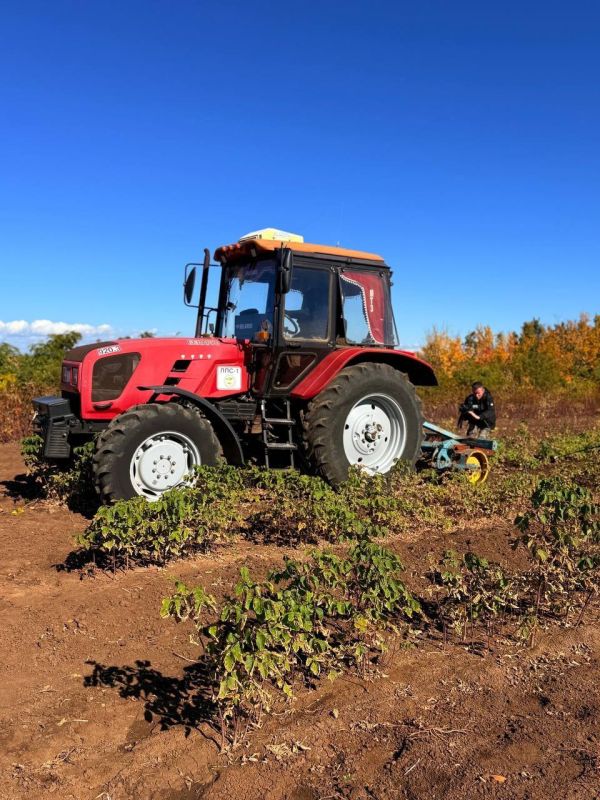 ����� �������: �������������� ������������� ��������� ��������� � ��������������� ������