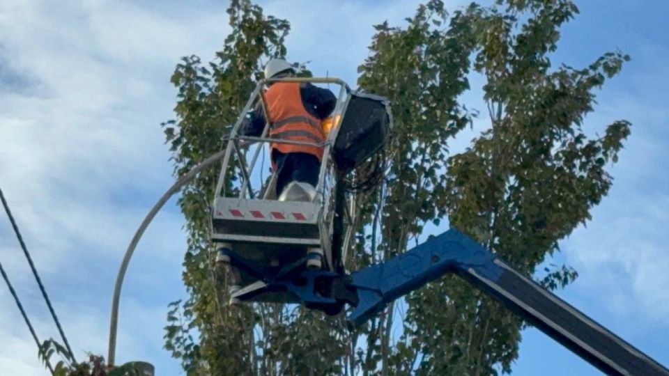 В Керчи провели ревизию уличного освещения вдоль центральных городских дорог – ул. Кирова и Еременко. Сотрудники ООО «Горсвет-Керчь» проверили исправность светильников, заменили перегоревшие лампочки В Керчи провели ревизию уличного освещения вдоль центральных городских дорог – ул. Кирова и Еременко. Сотрудники ООО «Горсвет-Керчь» проверили исправность светильников, заменили перегоревшие лампочки