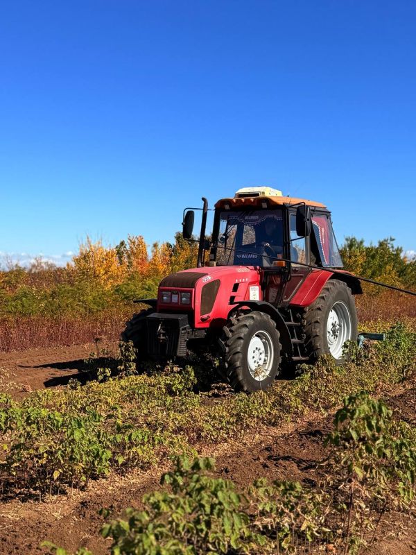 ��� �� ��������������� ������������� ��������� ��������� � ������ ��������������� ������ � ������ ������������ ������� ����������� �����