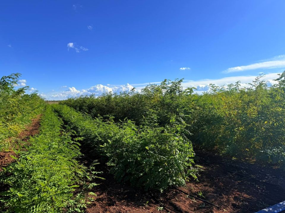 ��� �� ��������������� ������������� ��������� ��������� � ������ ��������������� ������ � ������ ������������ ������� ����������� �����