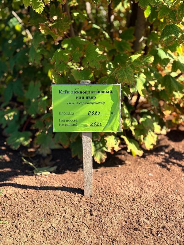 Ольга Шевцова: Раздольненское лесоохотничье хозяйство готовится к лесокультурному сезону