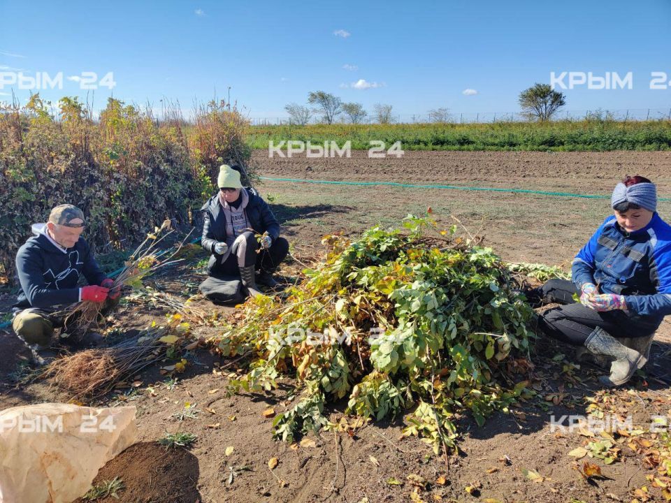 � ���������� ��������������� ������ ���������� � ������ ������������� ������� �������������� ������������