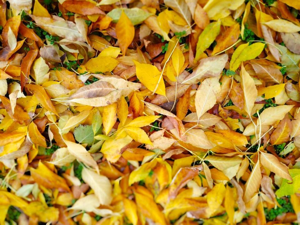 � ������ �����, �������!. ����� ���� ���� �������� ��� ��� � �����������