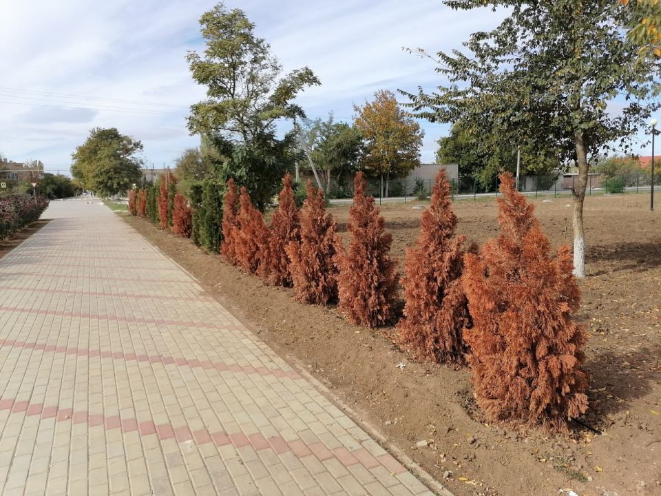 �������� �������: � ������� ������� �������� ���������� �������������� �����