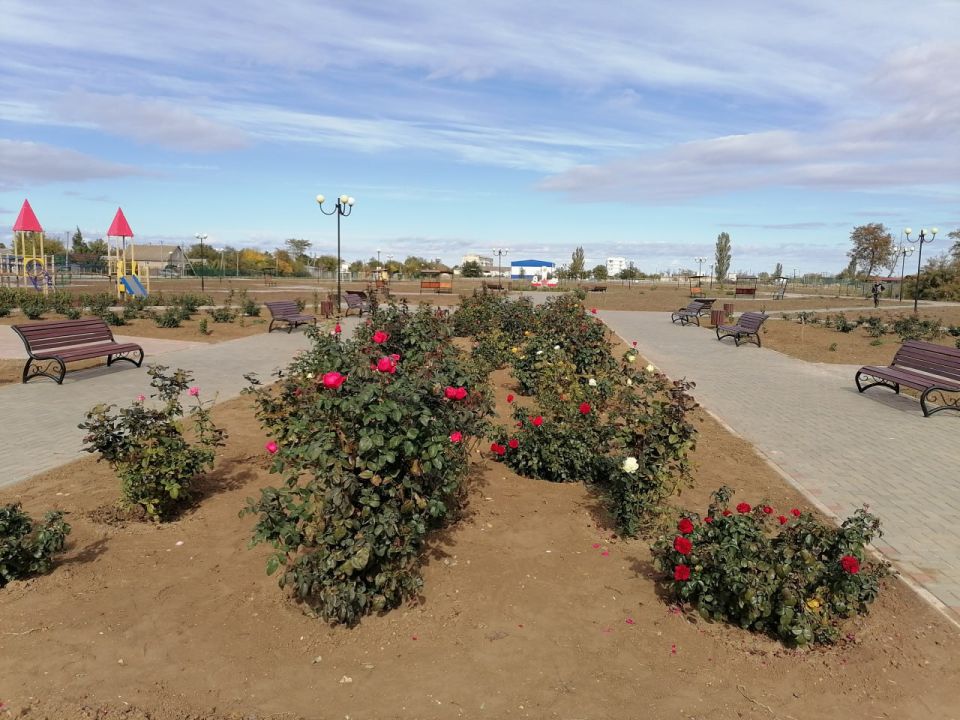 �������� �������: � ������� ������� �������� ���������� �������������� �����