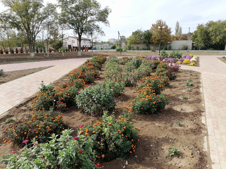 �������� �������: � ������� ������� �������� ���������� �������������� �����