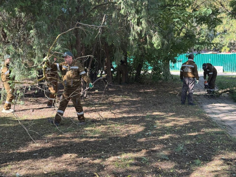 Озеленители выполняют санобрезку в районе ул. Андрея Первозванного Озеленители выполняют санобрезку в районе ул. Андрея Первозванного