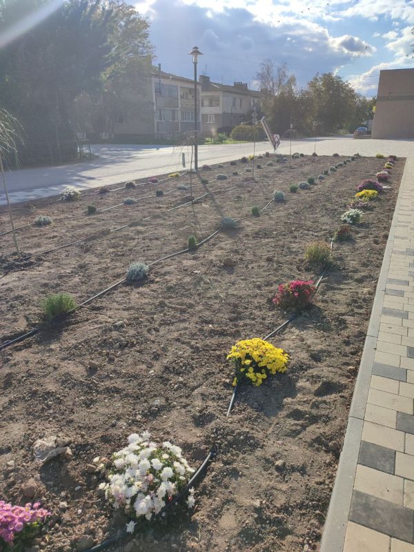 ����� �������: ����� � ������ ����� ��� ����������, � �� ������� �������� ��� ���������������� ����� ������������ ����������