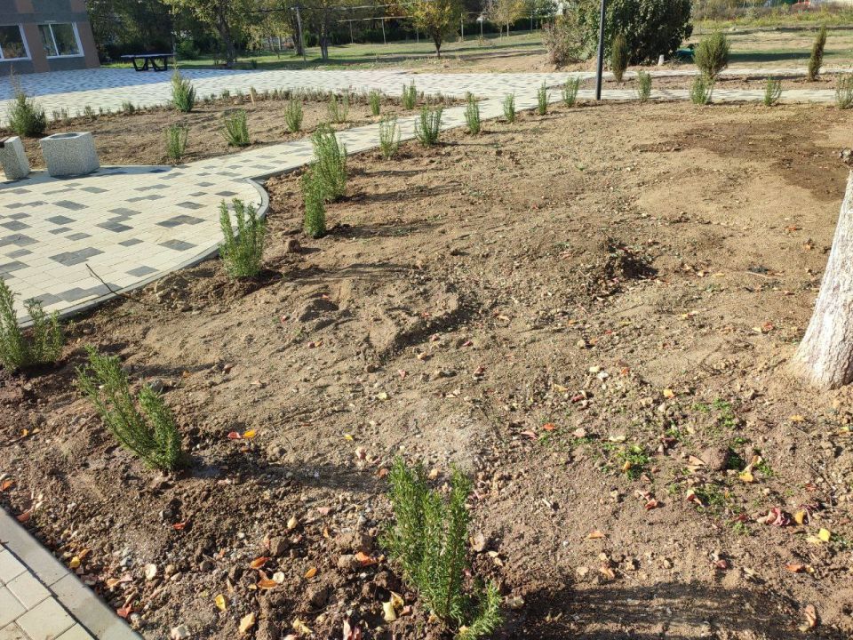 ����� � ������ ����� ��� ����������, � �� ������� �������� ��� ���������������� ����� ������������ ����������