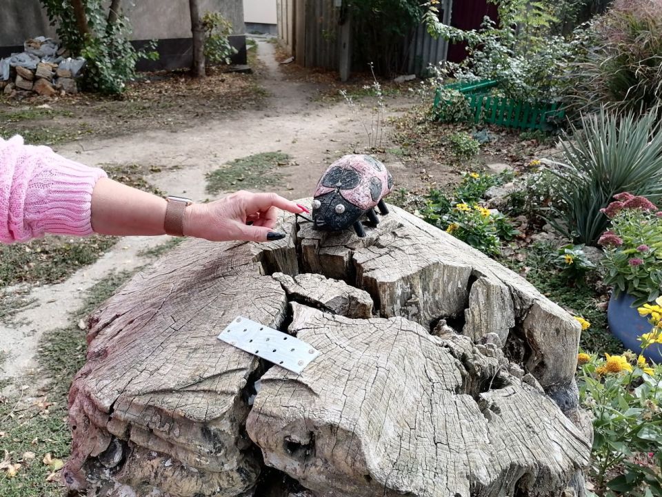 Светлана Маслова: Еще один объект благоустройства в пгт.Раздольное, который мы посетили – это Сквер ветеранов им. Омесова Андрея Алексеевича, который реализуется в рамках Республиканской программы социально-экономического... Светлана Маслова: Еще один объект благоустройства в пгт.Раздольное, который мы посетили – это Сквер ветеранов им. Омесова Андрея Алексеевича, который реализуется в рамках Республиканской программы социально-экономического...